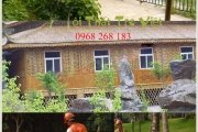 Làm nhà tre tại phố Trần Điền